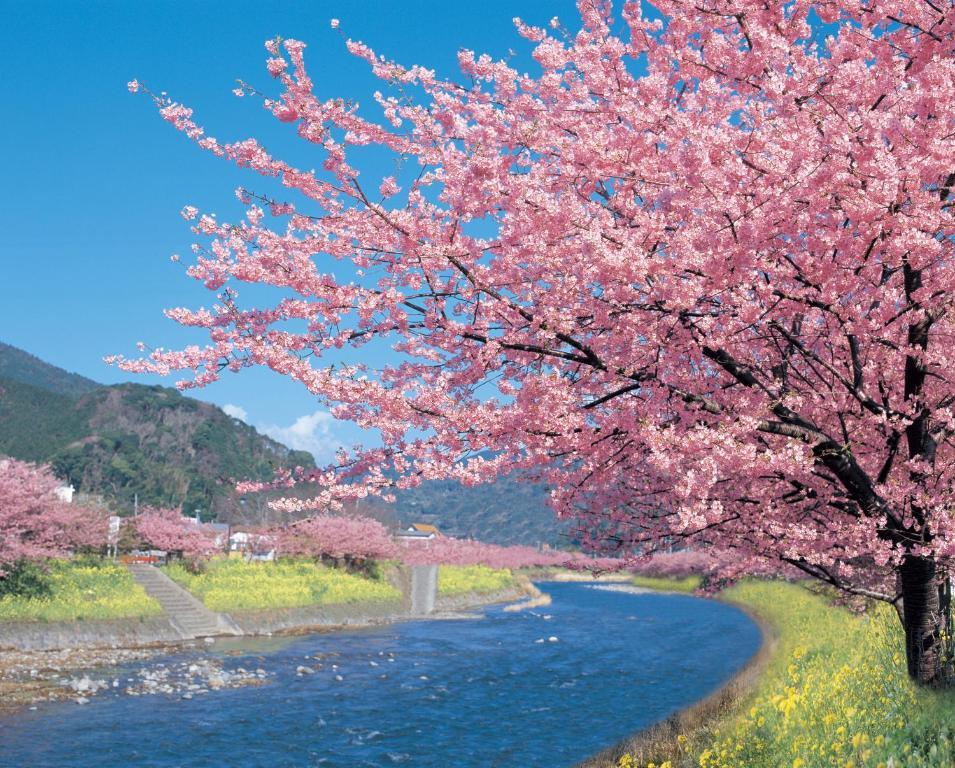 Imaiso Kawazu Bagian luar foto